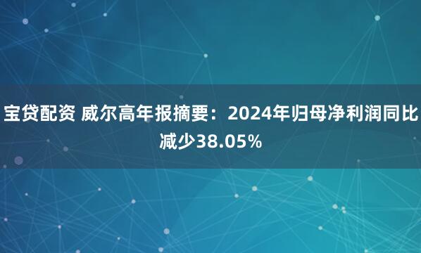 宝贷配资 威尔高年报摘要：2024年归母净利润同比减少38.05%